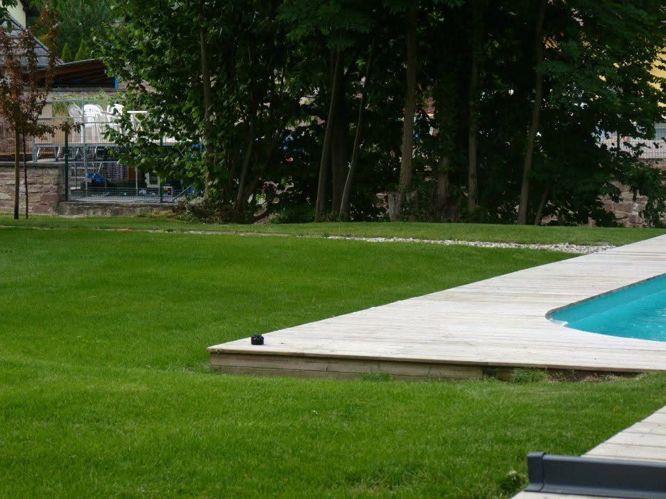 Pelouse et plage de piscine en bois